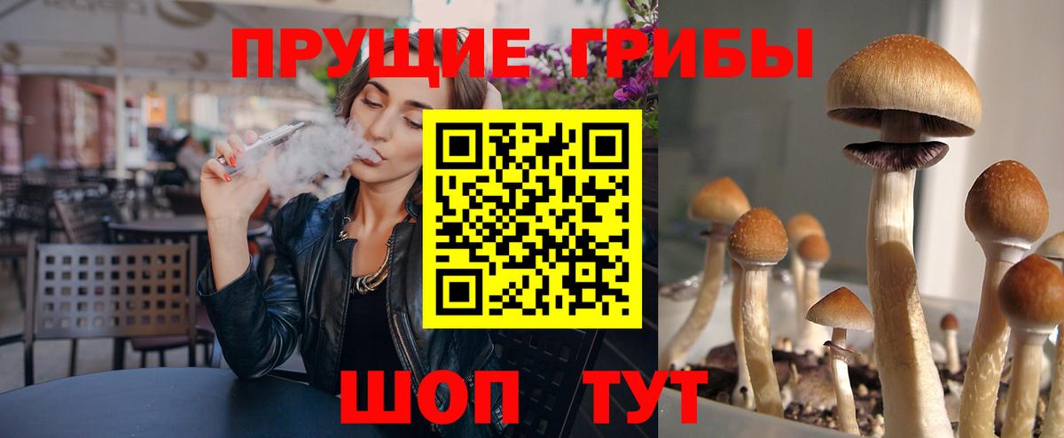 Галлюциногенные грибы MAGIC MUSHROOMS  Вход с VPN  Апрелевка 